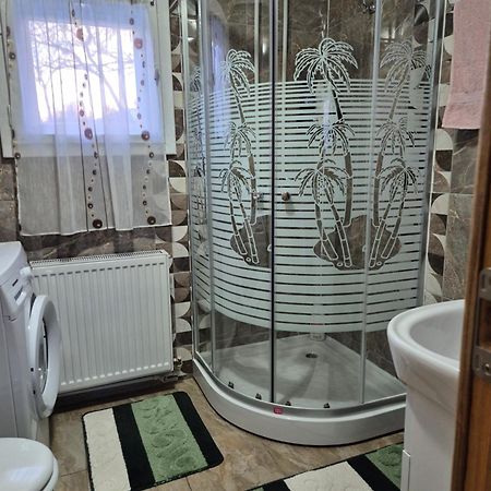 Casa Din Livada - Cazare Magherus Topliţa Екстериор снимка
