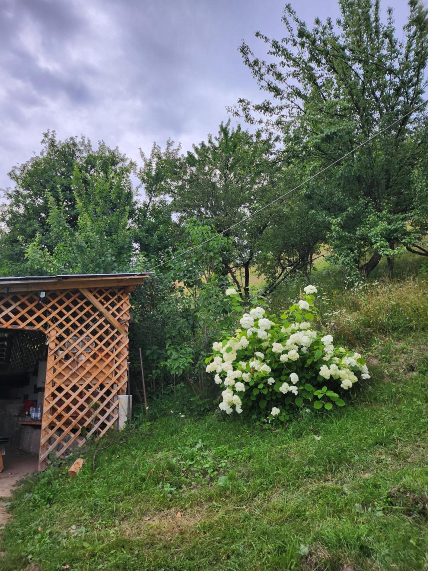 Casa Din Livada - Cazare Magherus Topliţa Екстериор снимка